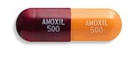 köpa Amoxivet - Amoxil Receptfritt